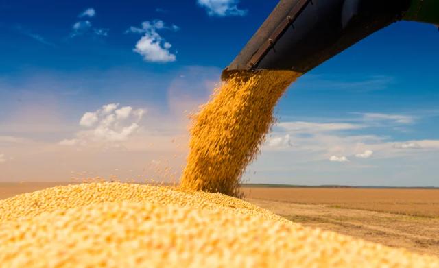 Produção Agrícola Municipal