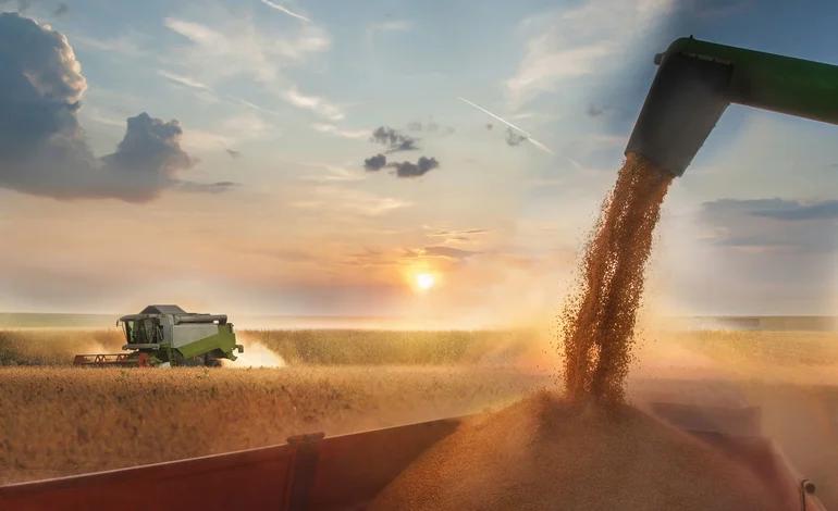 producao-de-graos-atinge-recorde-no-brasil-segundo-conab