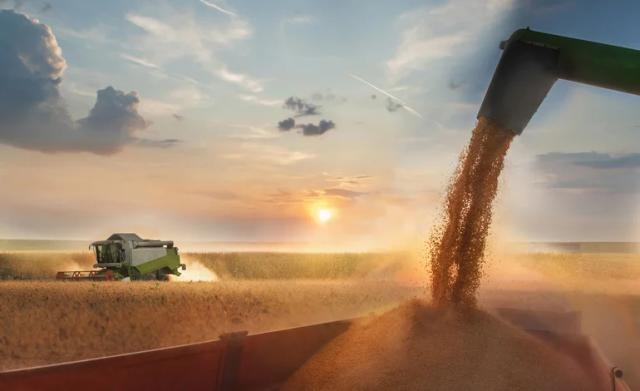 producao-de-graos-atinge-recorde-no-brasil-segundo-conab