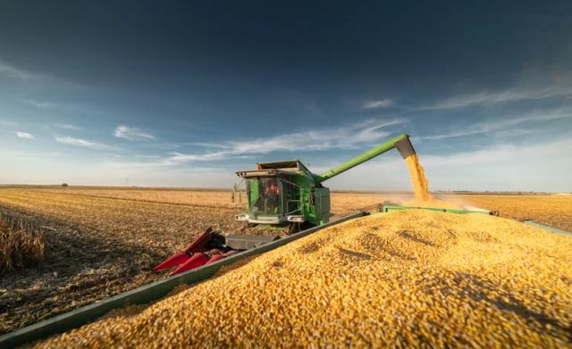 safra-agricola-devera-superar-318-milhoes-de-toneladas-neste-ano