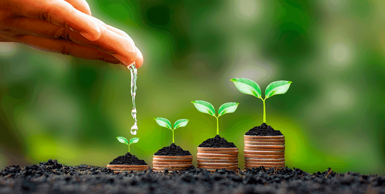 investimentos-para-iniciantes_its-money