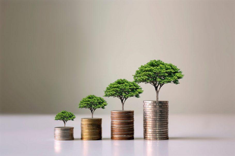 diferenca-entre-titulos-publicos-e-privados_its-money